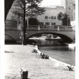 San Antonio River Scene