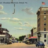 Woodland Boulevard