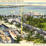 Yachts at anchor in Biscayne Bay