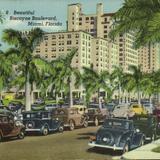 Biscayne Boulevard