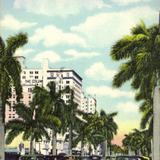 Royal Palms on Biscayne Boulevard