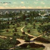 Royal Palm Gardens