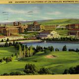 University of California, Los Angeles