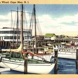 Scotty - Warren´s Wharf