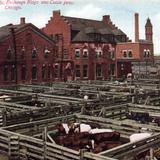 Union Stock Yards, Exchange Buildings and Cattle pens.