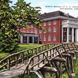 Rustic bridge ar U.S. Government Hospital