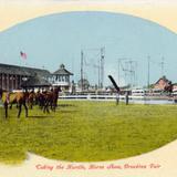 Taking the Hurdle, Horse Show, Brockton