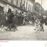 Dog Racing