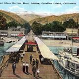 The Pier and Glass Bottom Boat, Avalon