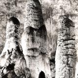 Carlsbad Caverns: Giant Stalagmites