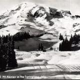 Mount Rainiert in the Springtime